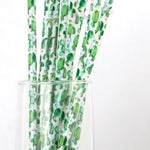 Cactus - Wholesale