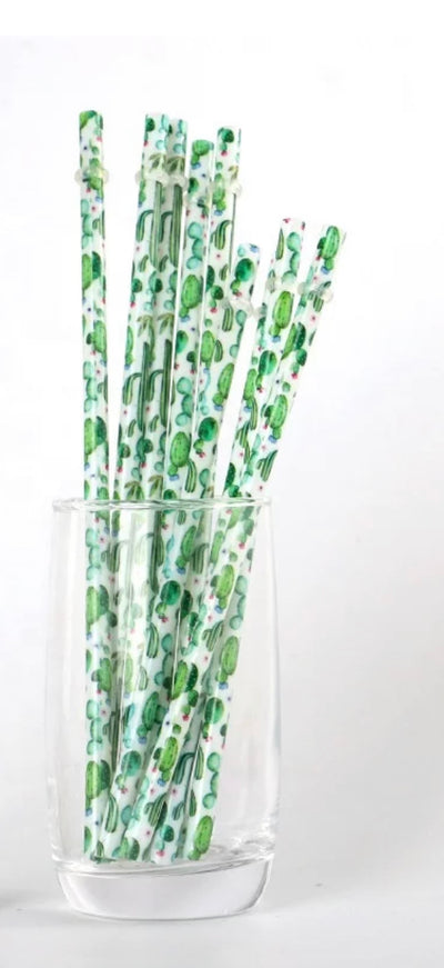 Cactus - Wholesale
